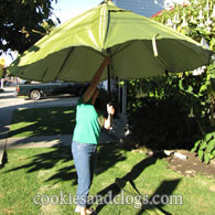 Sport-Brella Portable Shelter {Review \u0026amp; Giveaway} - Cocktails With Mom