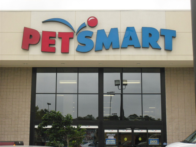 Curious About the Pet Smart Puppy Training Program?