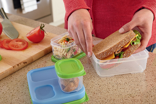 Lunch storage made safer with Rubbermaid Lunchblox Sandwich Kit