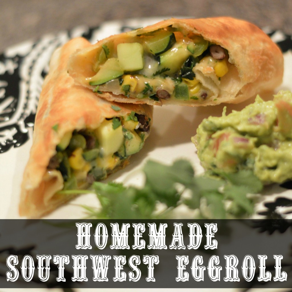 http://craftdictator.com/2014/03/19/homemade-southwest-eggrolls/