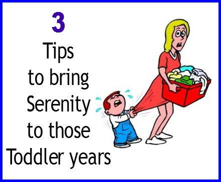 3 Tips to bring Serenity to those Toddler years