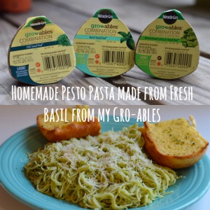 Homemade Pesto Pasta made from Fresh Basil from my Gro-ables