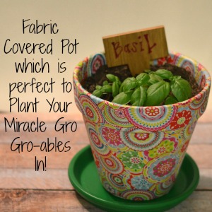 Fabric Covered Pot which is perfect to Plant Your Miracle Gro Gro-ables In!