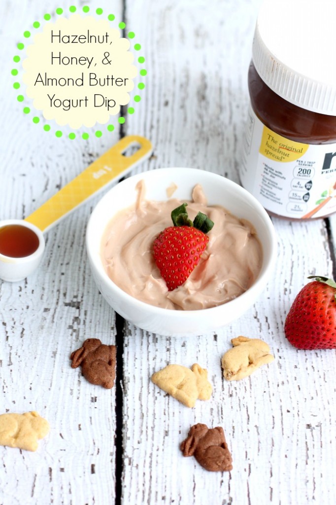 Yogurt-Dip-Recipe