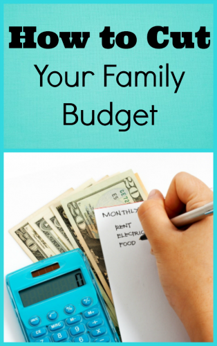 family_budget