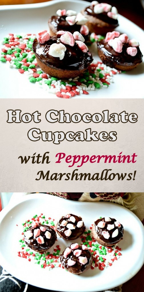 hot chocolate cupcakes with marshmallows