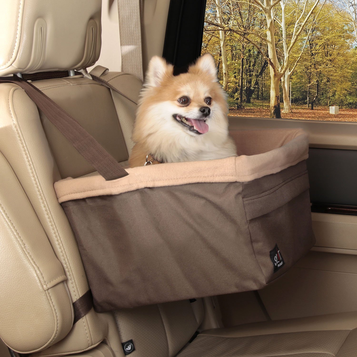 5 Must-Have Dog Travel Accessories
