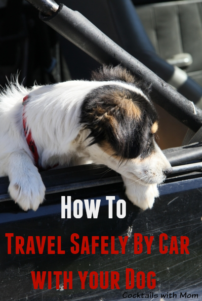 How To Travel Safely By Car with your Dog