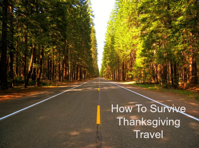 How To Survive Thanksgiving Travel