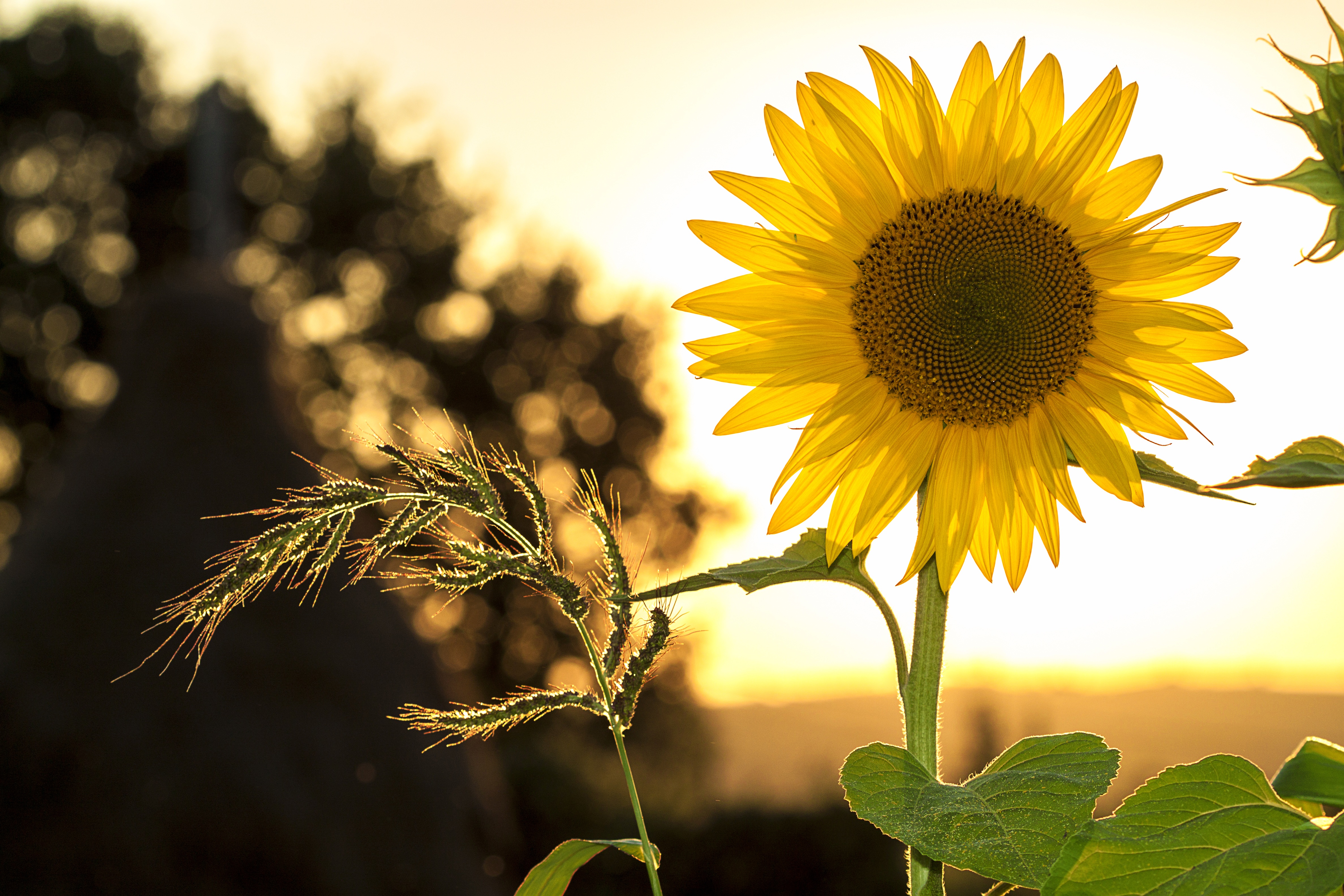 Ways to Enjoy the Outdoors