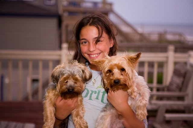 Ways That Your Kid Can Benefit From Having a Pet Dog