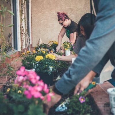 Creating a Sustainable Home: Tips and Ideas to Start a Zero-Waste Garden